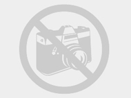 No foto no foto